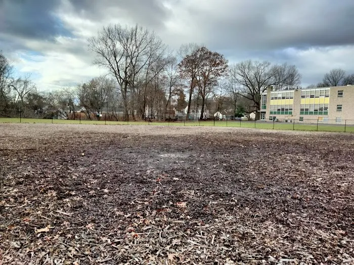 West Hartford Dog Park 8