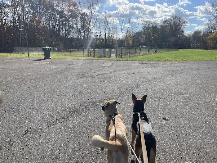 West Hartford Dog Park 5