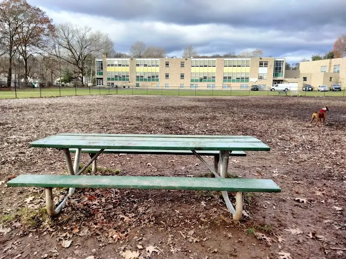 West Hartford Dog Park 9