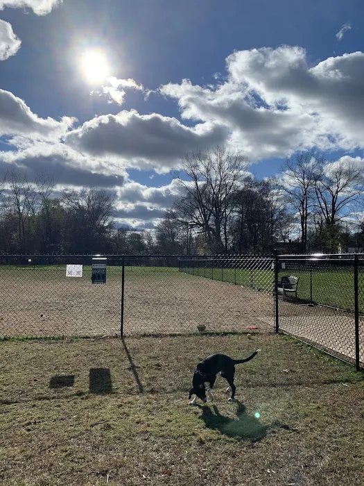 West Hartford Dog Park 6