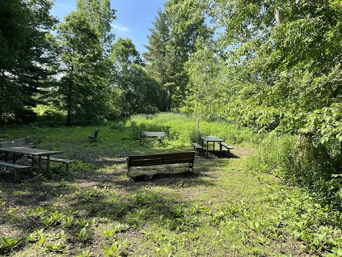 Wethersfield Dog Park 3