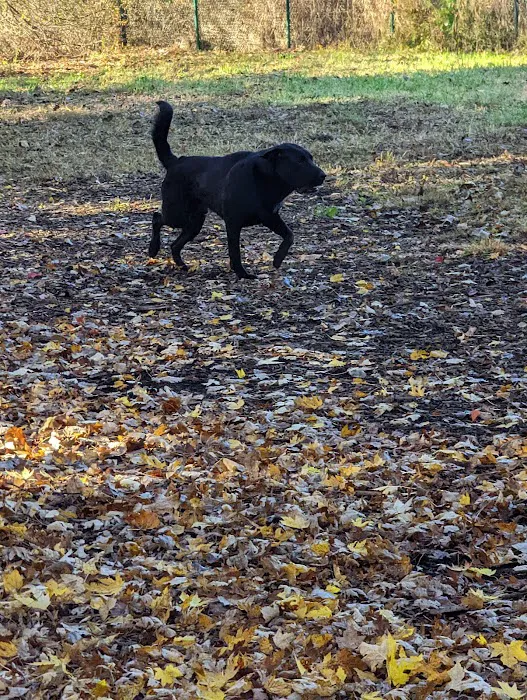 Wethersfield Dog Park 5
