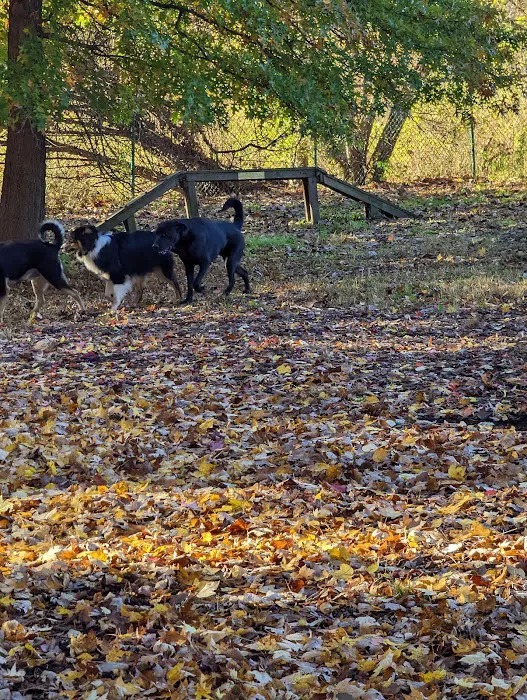 Wethersfield Dog Park 1