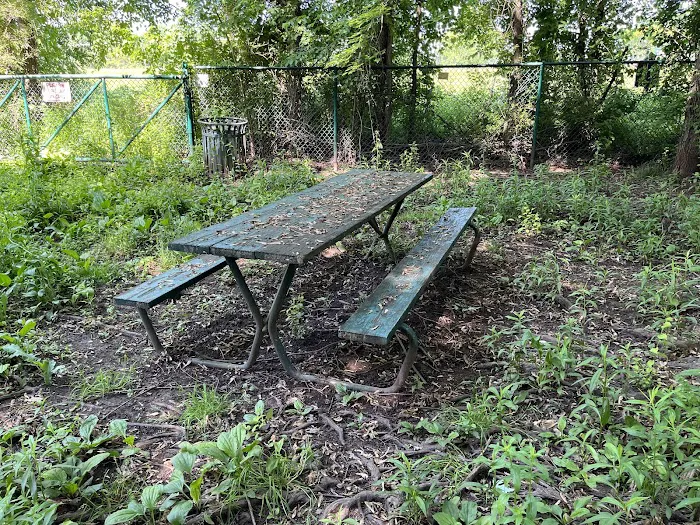 Wethersfield Dog Park 9