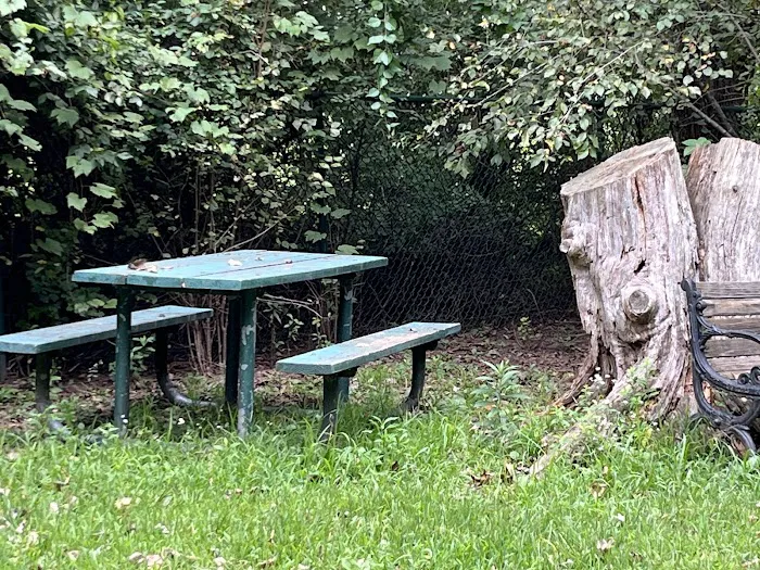 Wethersfield Dog Park 7