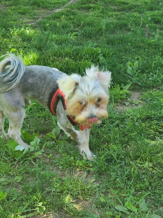 Rocky Hill Dog Park 5