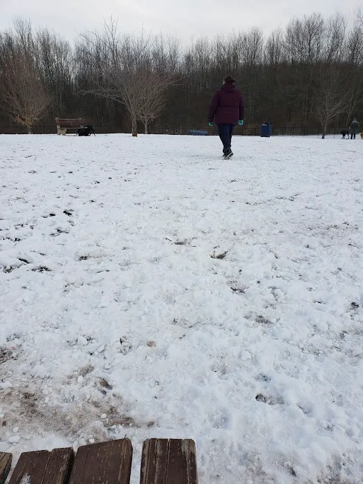 Rocky Hill Dog Park 9