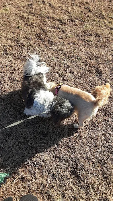 Rocky Hill Dog Park 10