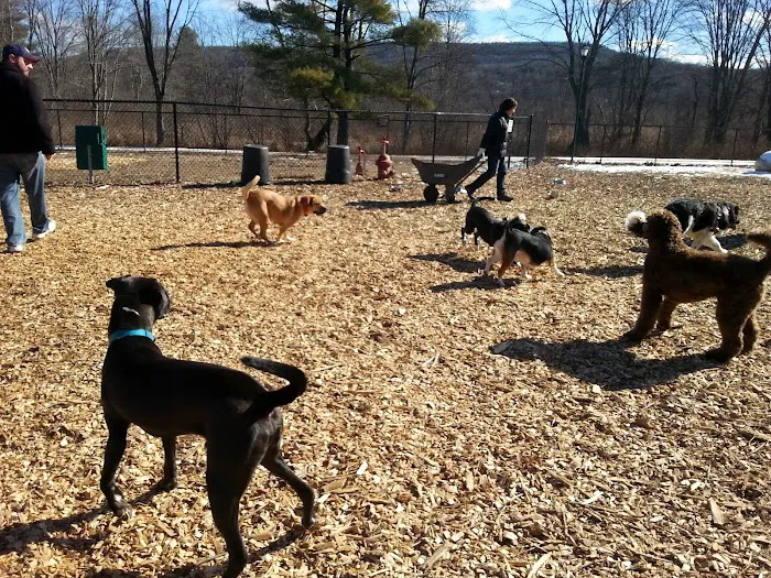 Paw Meadow Dog Park 2
