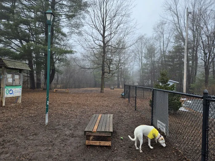 Paw Meadow Dog Park 1