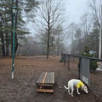 Paw Meadow Dog Park ico