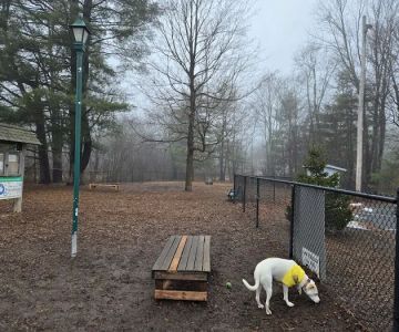 Paw Meadow Dog Park