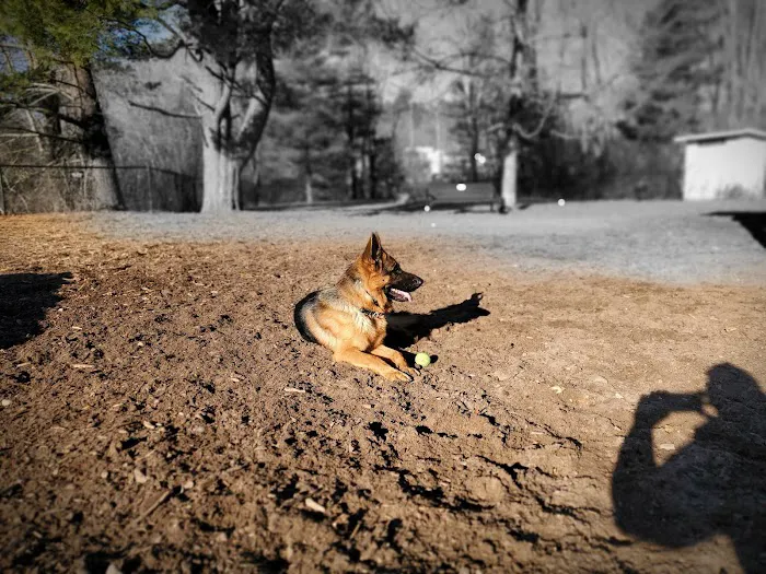 Paw Meadow Dog Park 5
