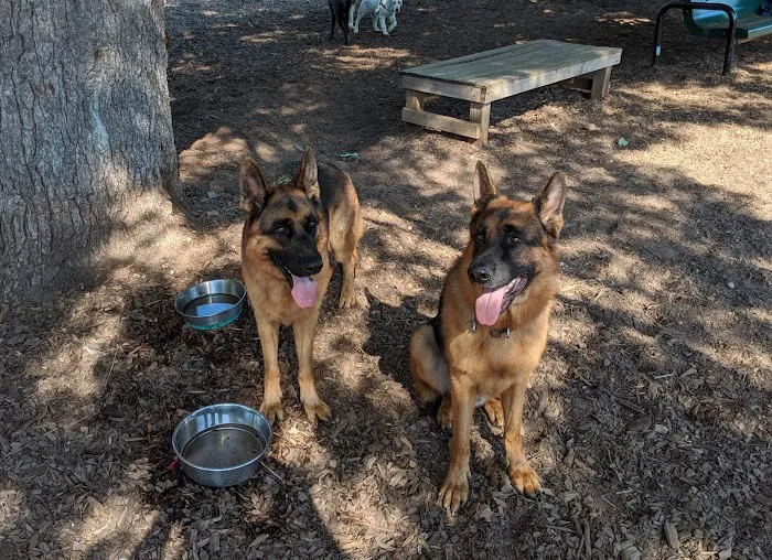 Paw Meadow Dog Park 4