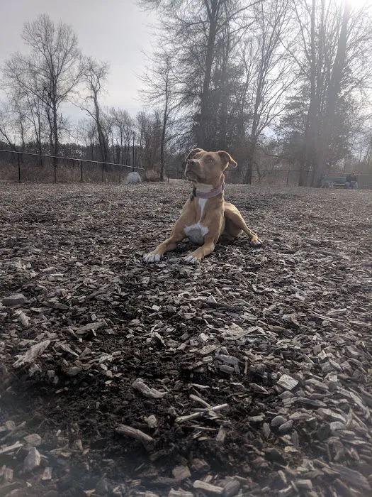 Paw Meadow Dog Park 8