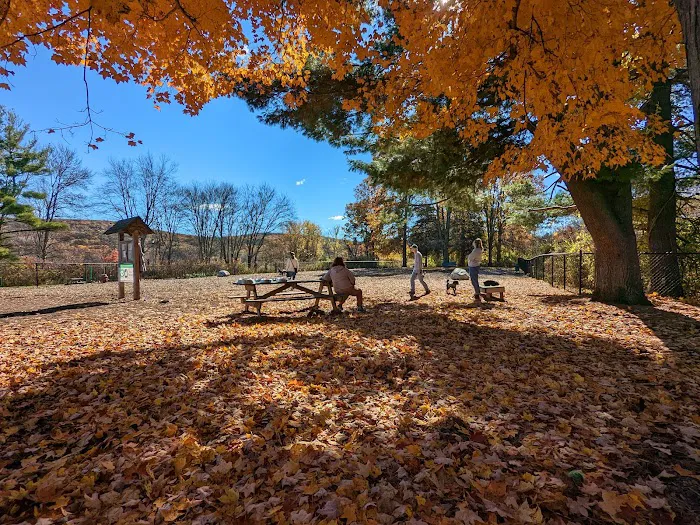 Paw Meadow Dog Park 10