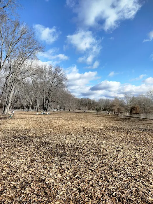 Glastonbury Dog Park 3