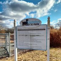 Glastonbury Dog Park ico
