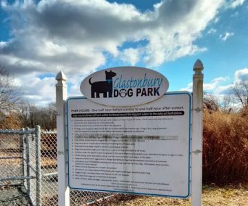 Glastonbury Dog Park