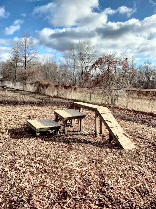 Glastonbury Dog Park 2