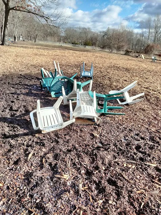 Glastonbury Dog Park 5