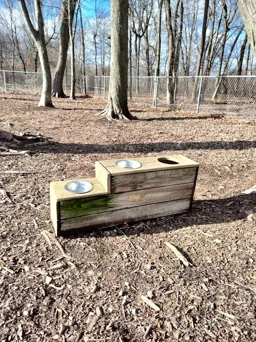 Glastonbury Dog Park 6