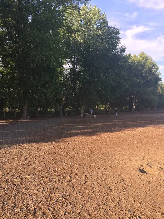 Glastonbury Dog Park 4