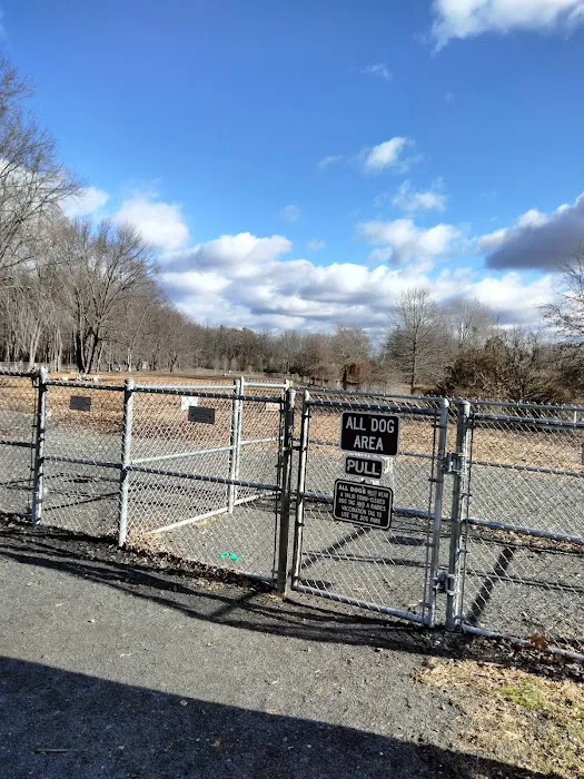 Glastonbury Dog Park 9