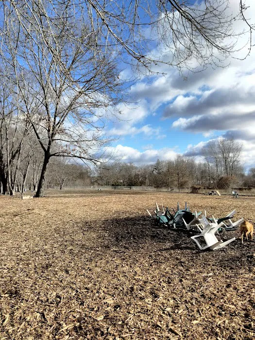 Glastonbury Dog Park 7