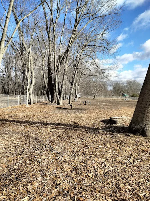Glastonbury Dog Park 10