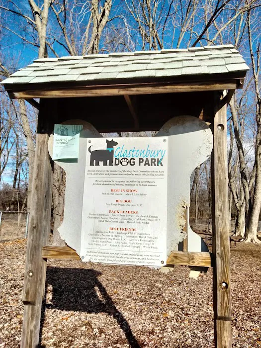 Glastonbury Dog Park 8