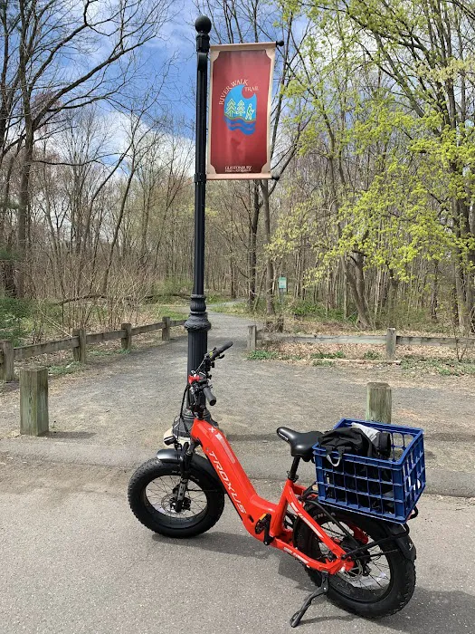 Park walk 1