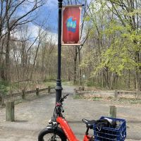 Park walk ico