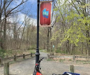 Park walk