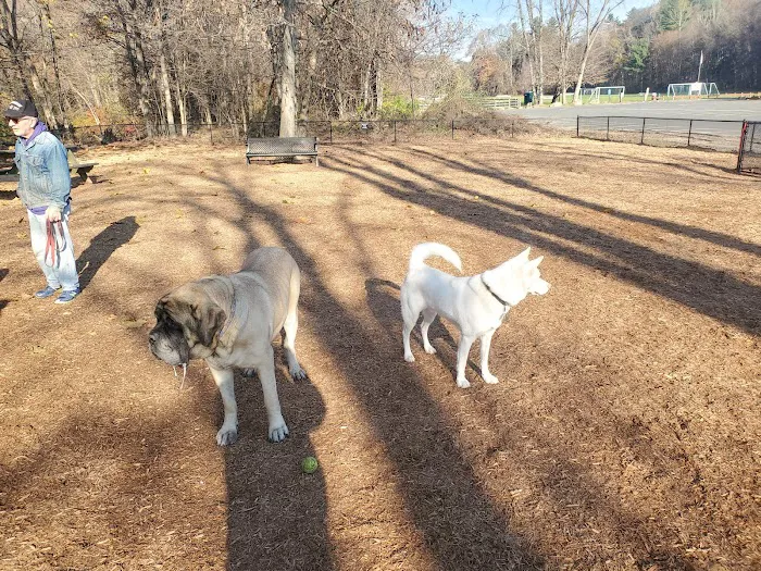 Granby Dog Park 2
