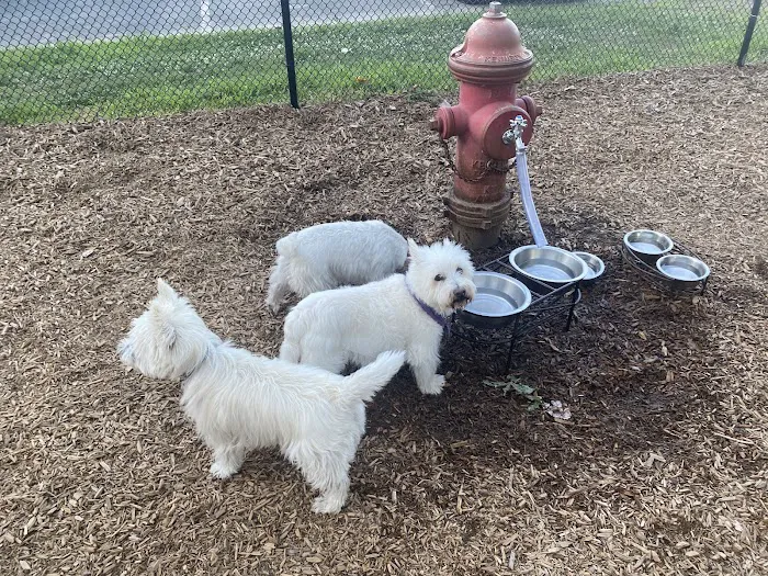 Granby Dog Park 1