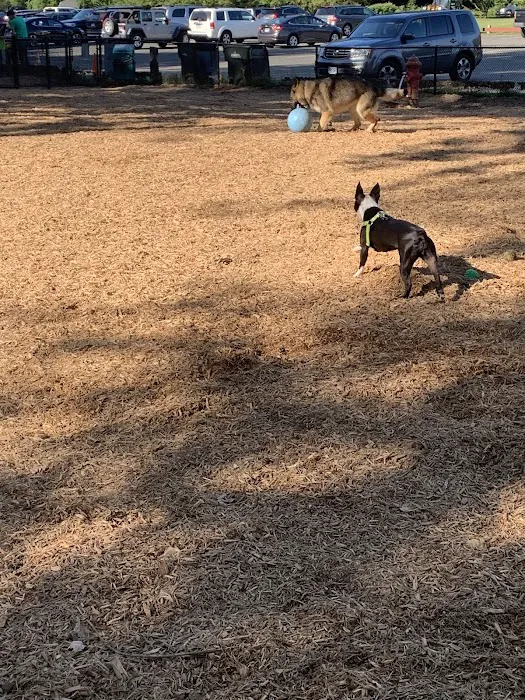 Granby Dog Park 6