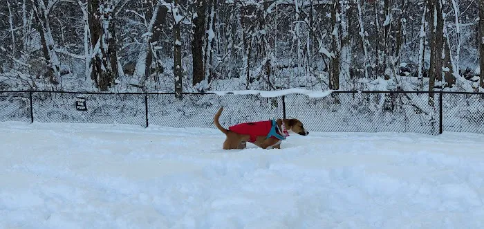Granby Dog Park 7