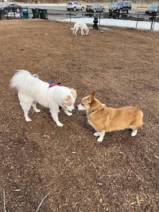 Granby Dog Park 5