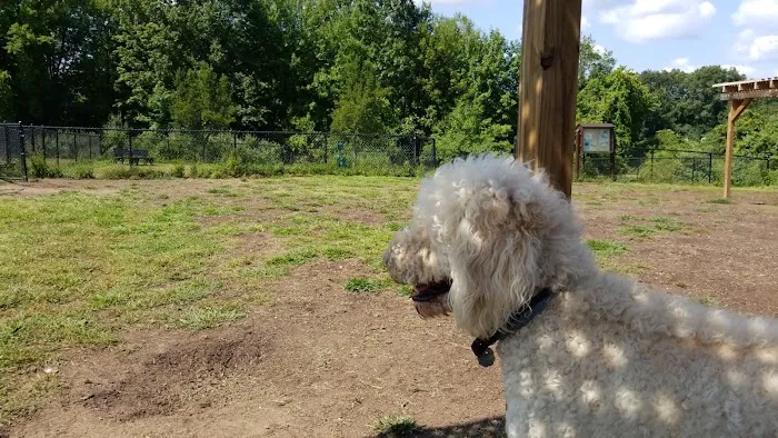 Windsor Dog Park 5