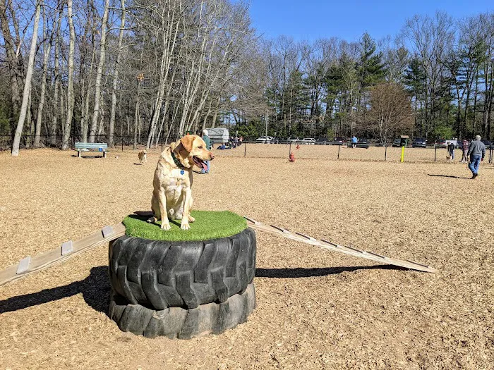 South Windsor Bark Park 4