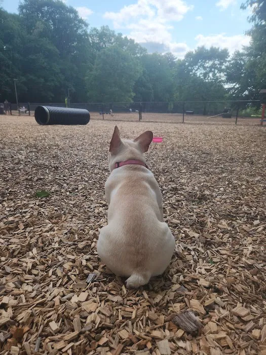 South Windsor Bark Park 6