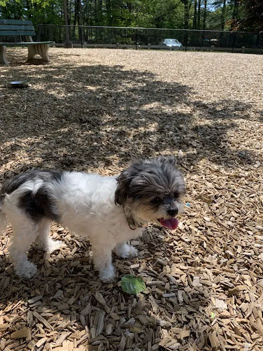 South Windsor Bark Park 9