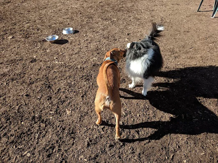 South Windsor Bark Park 8