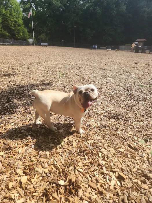 South Windsor Bark Park 7