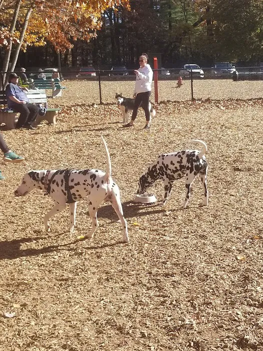 South Windsor Bark Park 10