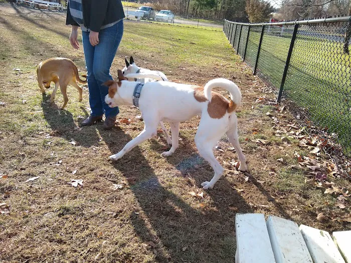 East Windsor Dog Park 3