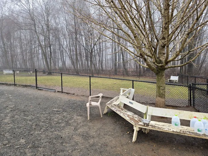 East Windsor Dog Park 2
