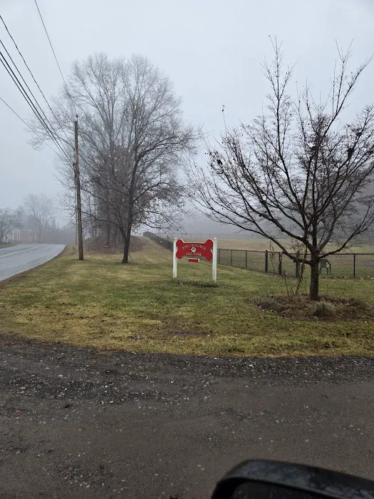 East Windsor Dog Park 9