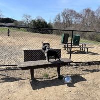 The Alice A Sullivan Dog Park ico
